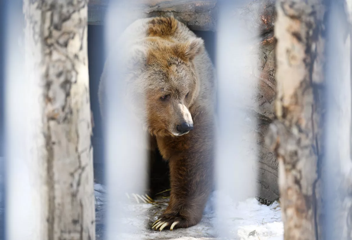 Владимир Жабриков / РИА URA.RU