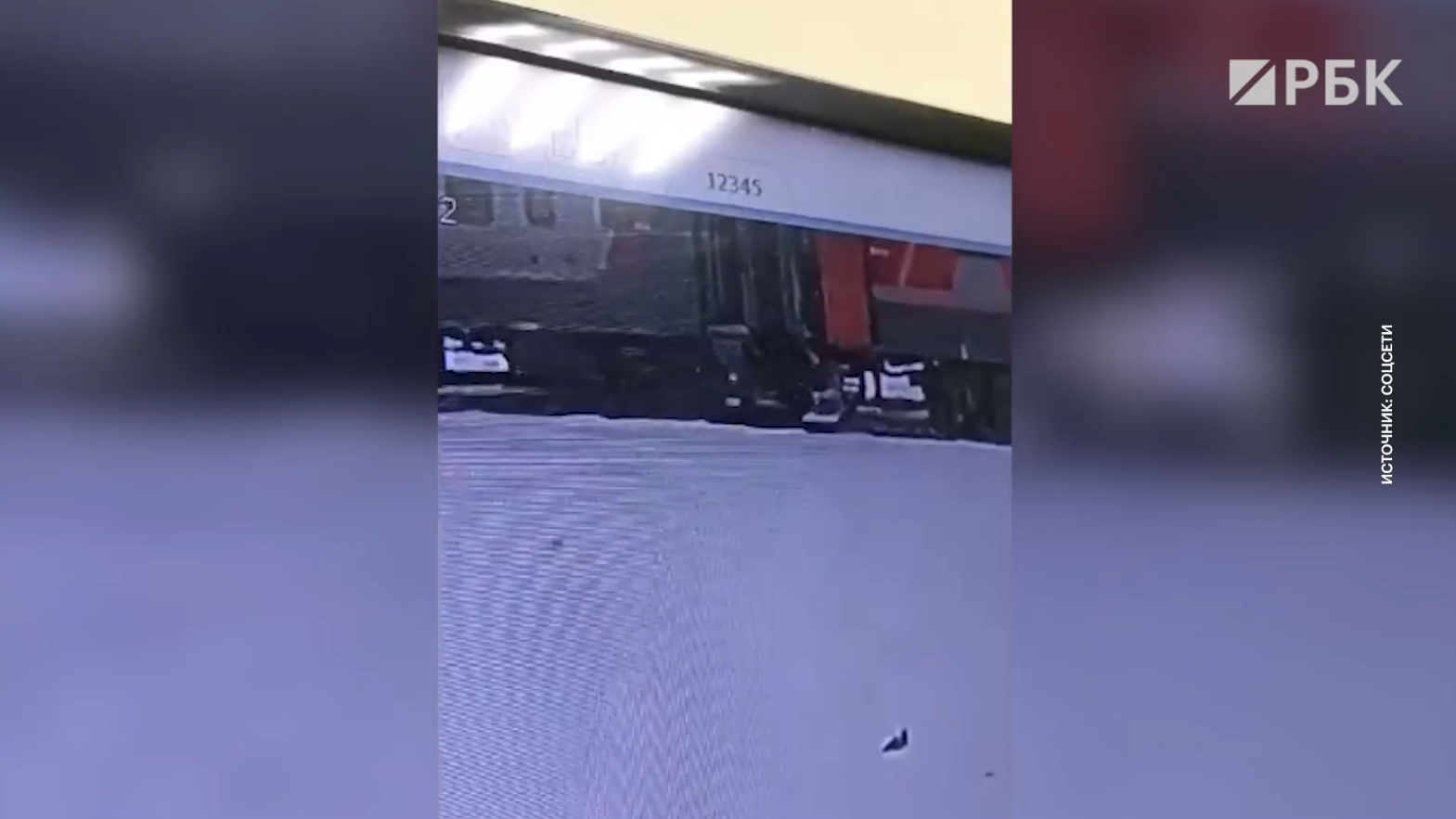 Выброшенного из поезда в Кирове кота нашли мертвым