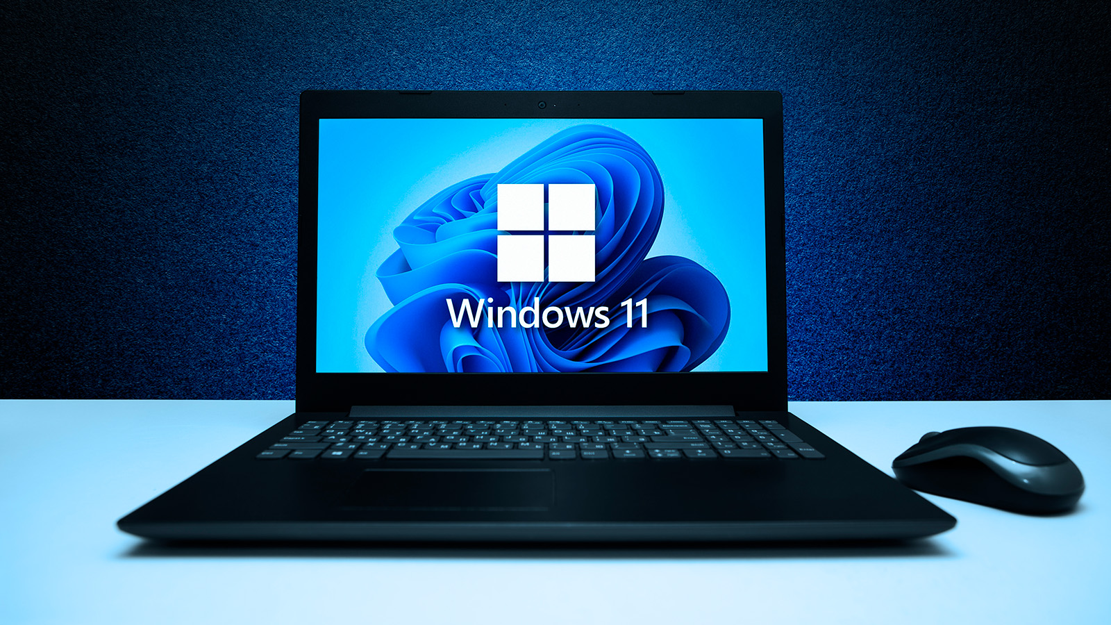 <p>Windows 11</p>