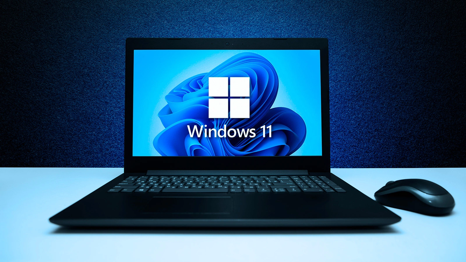 Windows 11