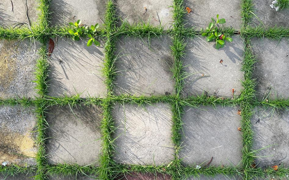 Фото: Shutterstock