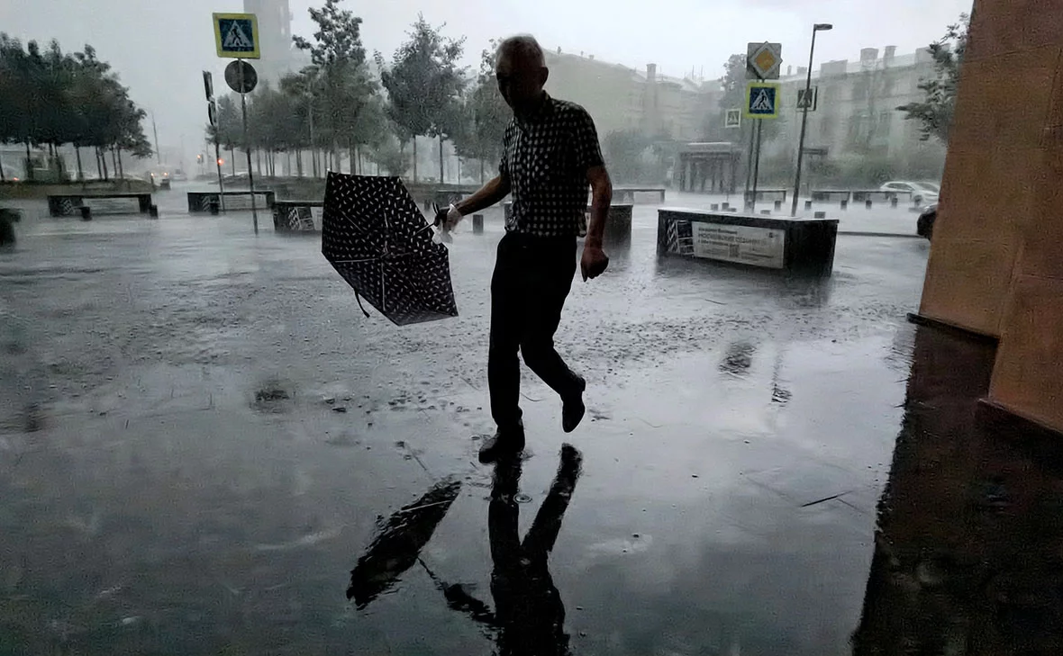 Андрей Любимов / РБК