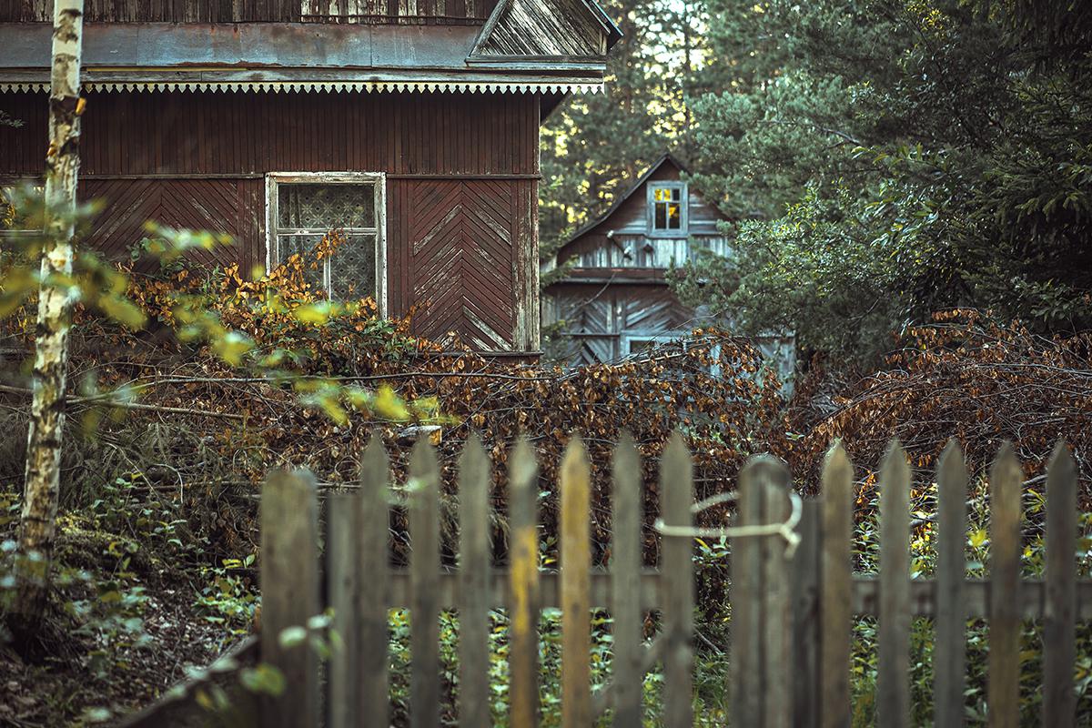 Фото: Svetliy / Shutterstock / FOTODOM