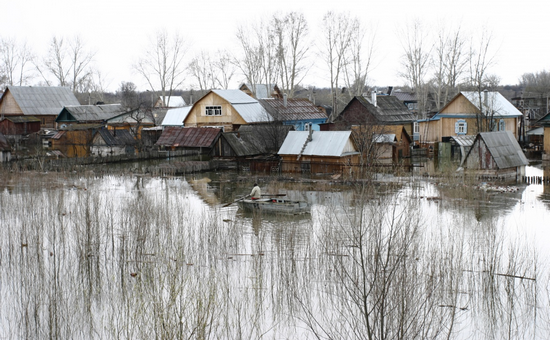 Фото: Олег Яровиков