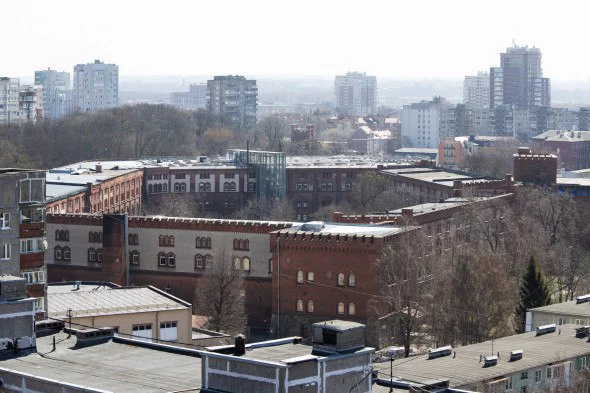 Александр Подгорчук