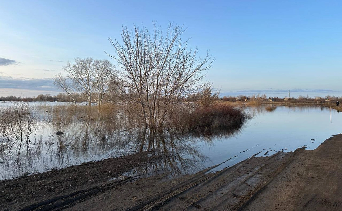 vnkozupitsa / Telegram