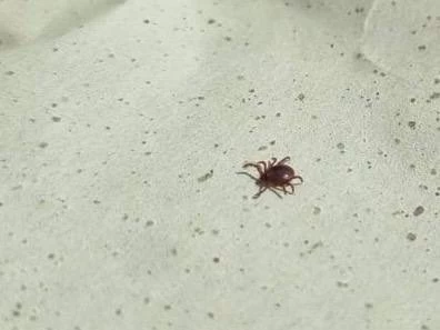 РБК Приморье