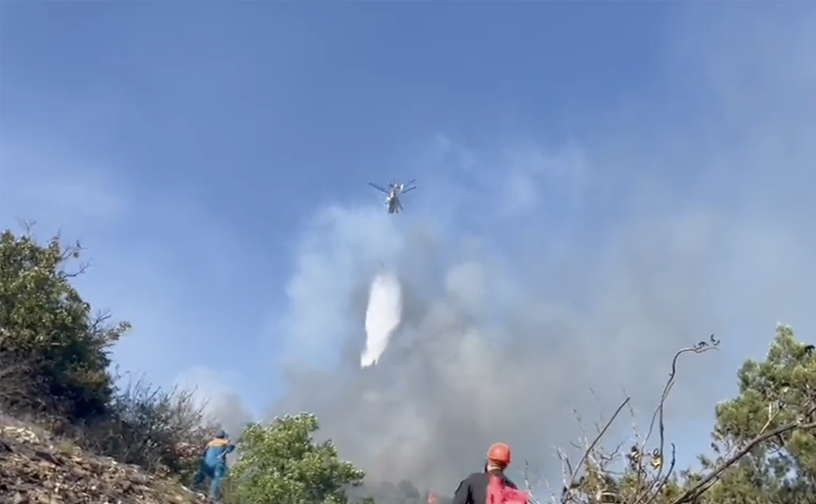 kravchenko_glava_nvrsk / Telegram