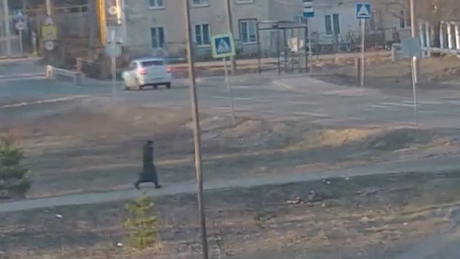 ФСБ показала тайник террористов с оружием под надписью «Лера, привет!»