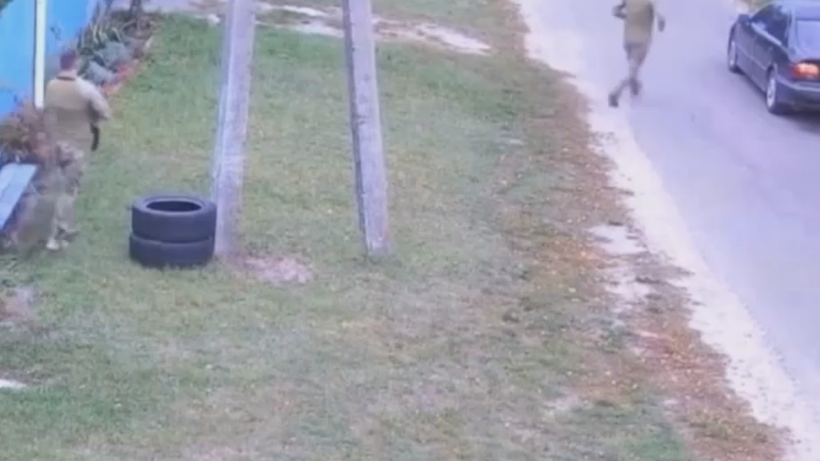 В Киеве опровергли мобилизацию кота