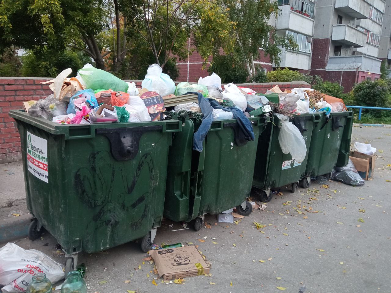 Фото: РБК Новосибирск