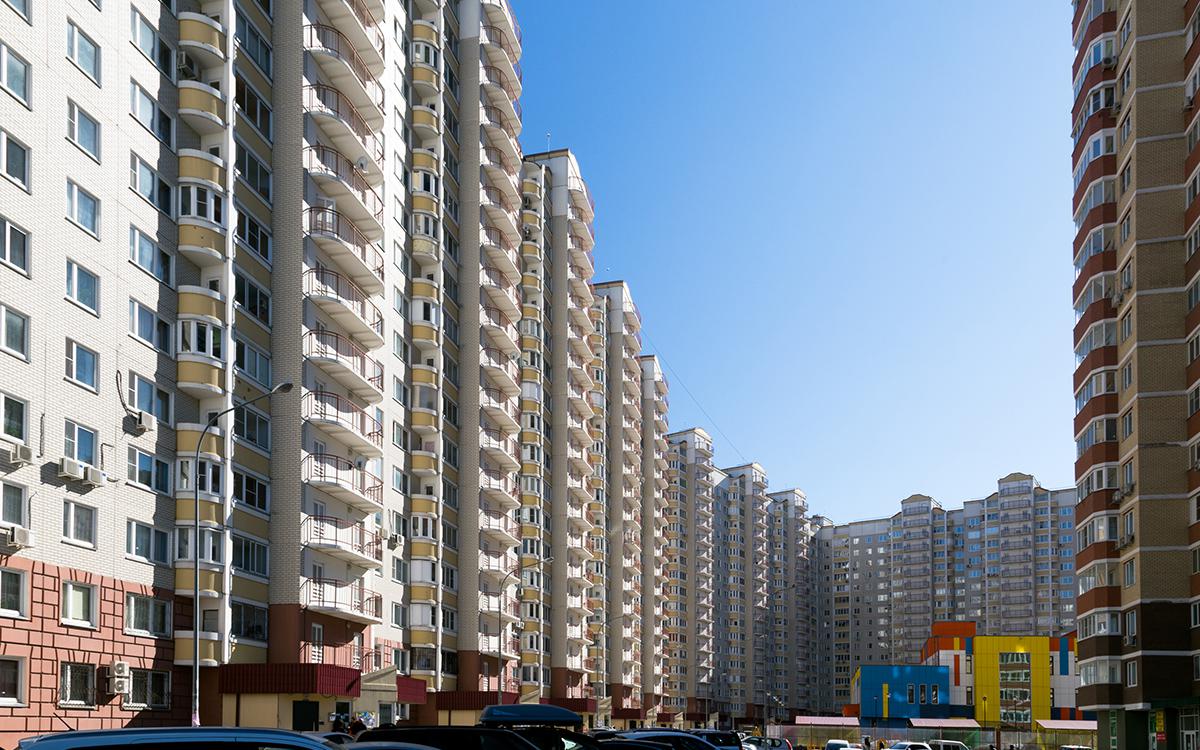 Фото: Philip Mowbray / Shutterstock / FOTODOM