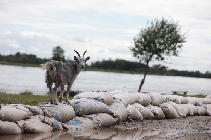 "Бездомный" Восток: как расквартировывают пострадавших от наводнения