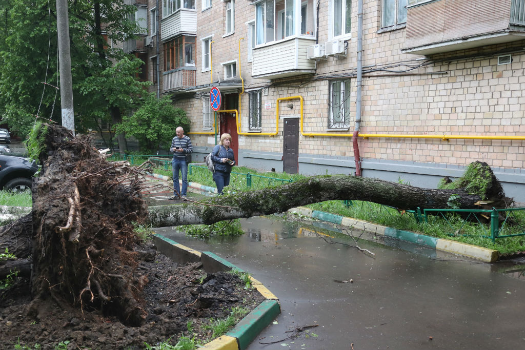 Последствия урагана в раменском районе. Ураган в Москве 1998. Ураган в Москве 1904. Возмещение ущерба от смерча в Курске.