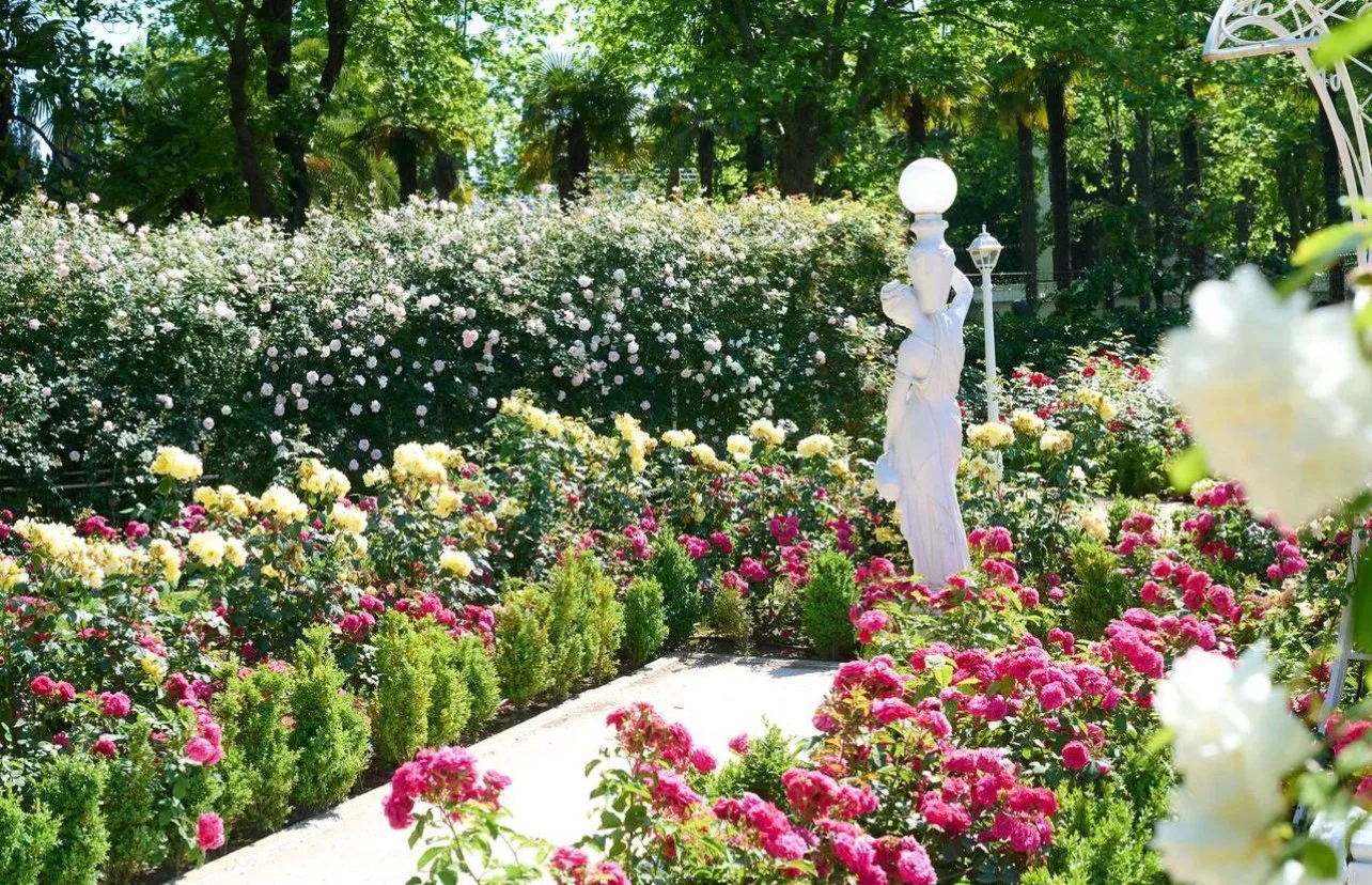 Telegram-канал мэрии Сочи