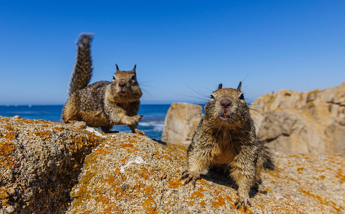 Detlef Denne / imagebroker / Global Look Press