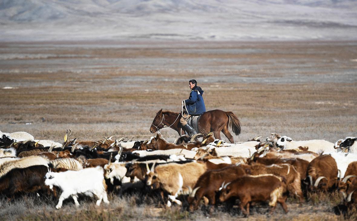 Фото: Владимир Астапкович / РИА Новости