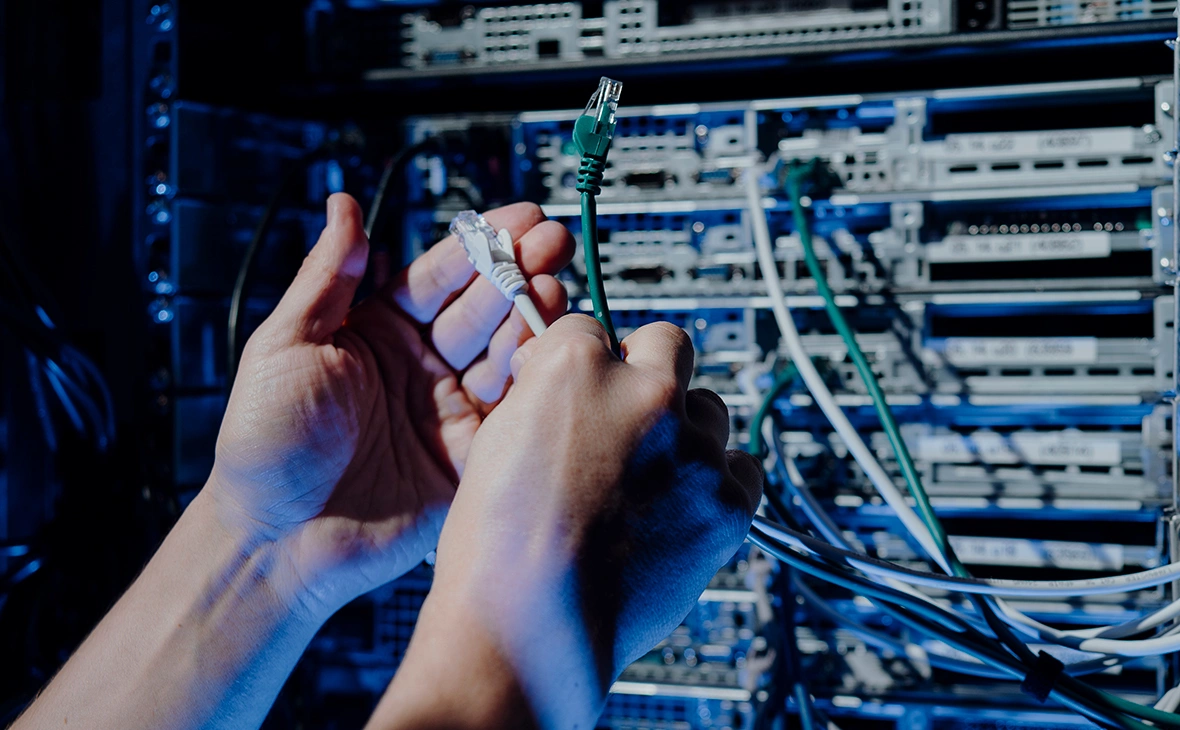 Михаил Гребенщиков / РБК