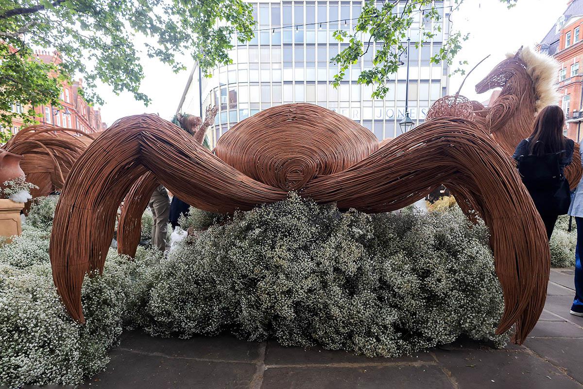 Выставка цветов RHS Chelsea Flower Show 2026 – Лондон, Великобритания