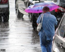 Рухнувшее во время грозы дерево оборвало провода в Петроградском районе