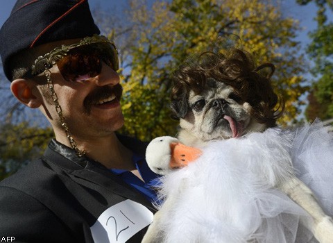 Фото недели: бронзовый Ван Дамм, собачий карнавал и кровожадные вегетарианцы