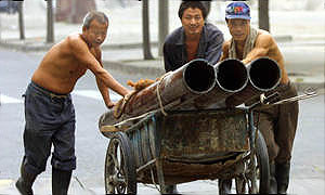 Под Волгоградом построят завод по производству биоэтанола