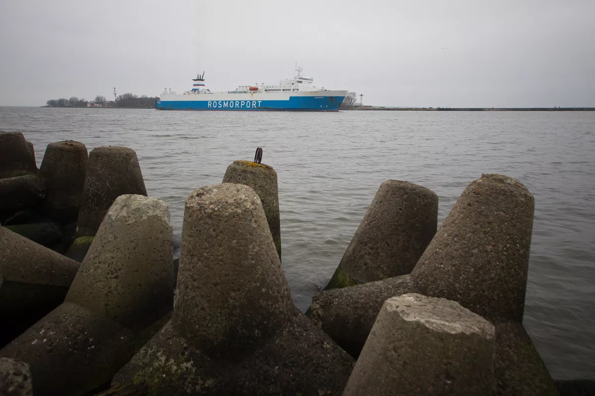 Александр Подгорчук