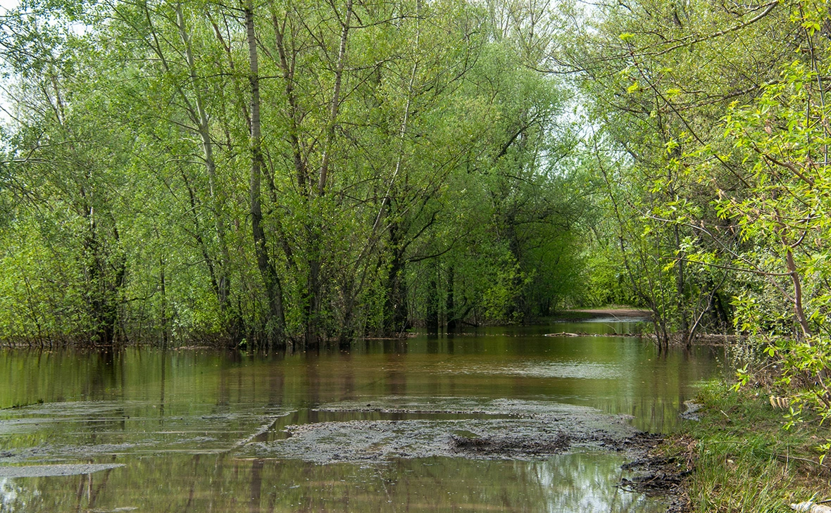 Светлана Возмилова / Global Look Press