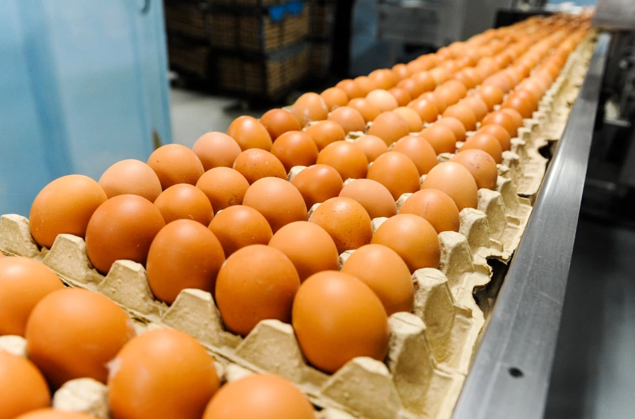 Вадим Ахметов / URA.RU