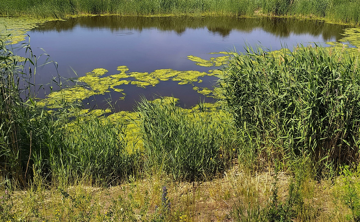 Виктор Лисицын / Global Look Press