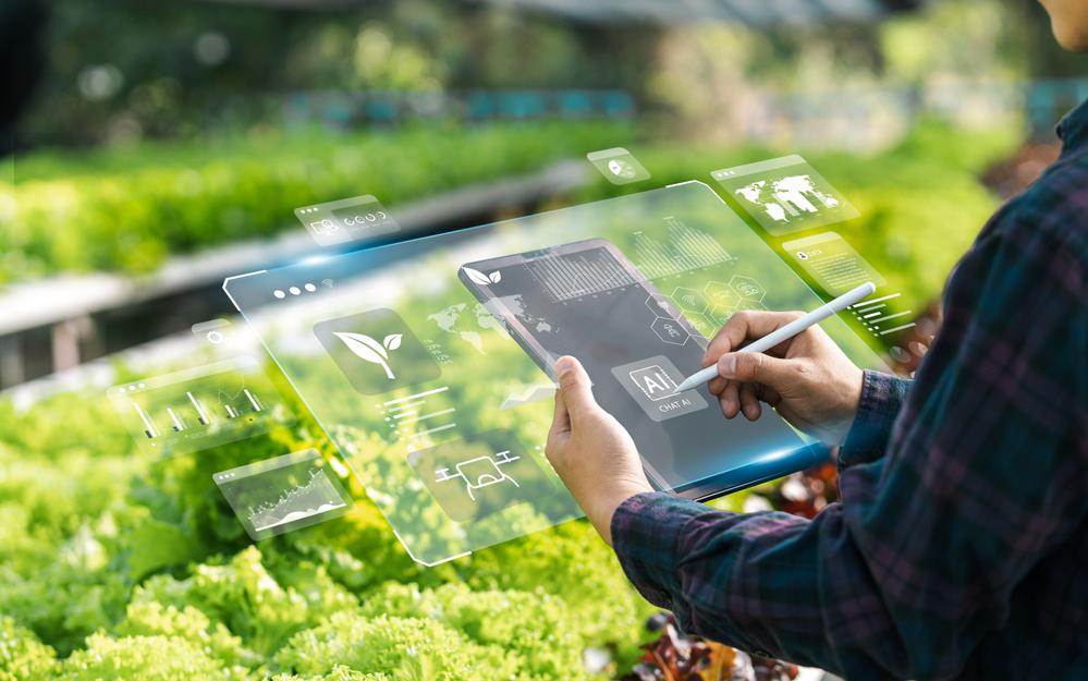 Фото: Shutterstock