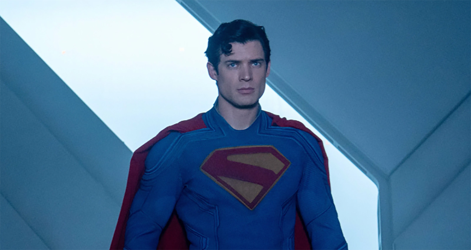 Кадр из фильма «Супермен» (2025)