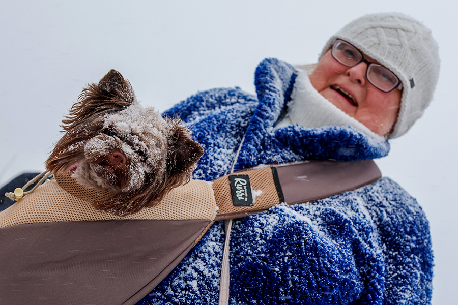 К полудню пробки в Москве достигли 8&ndash;9 баллов, следует из данных «Яндекс Карт».