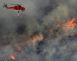 Испания и США предложили России помощь в борьбе с природными пожарами
