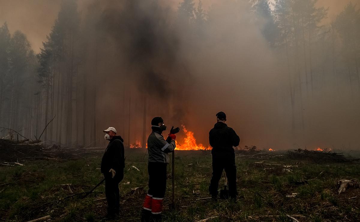 Природные пожары