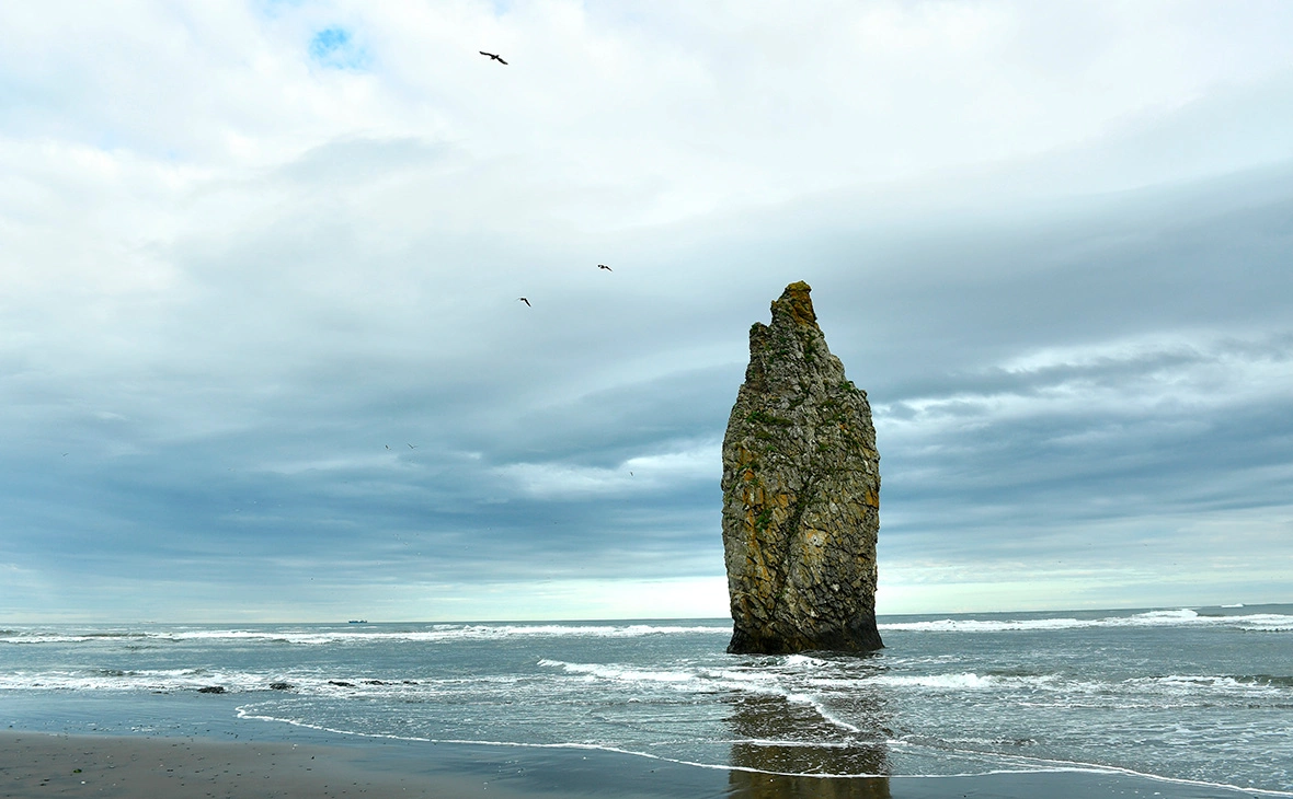 Екатерина Чеснокова / РИА Новости