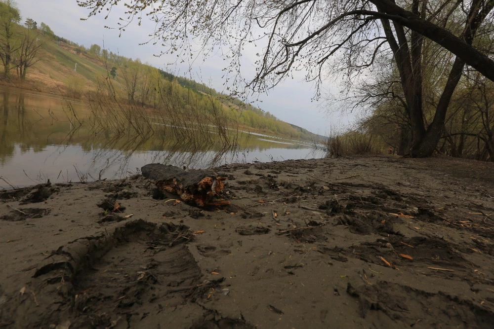 Павел Комаров / nsknews.info