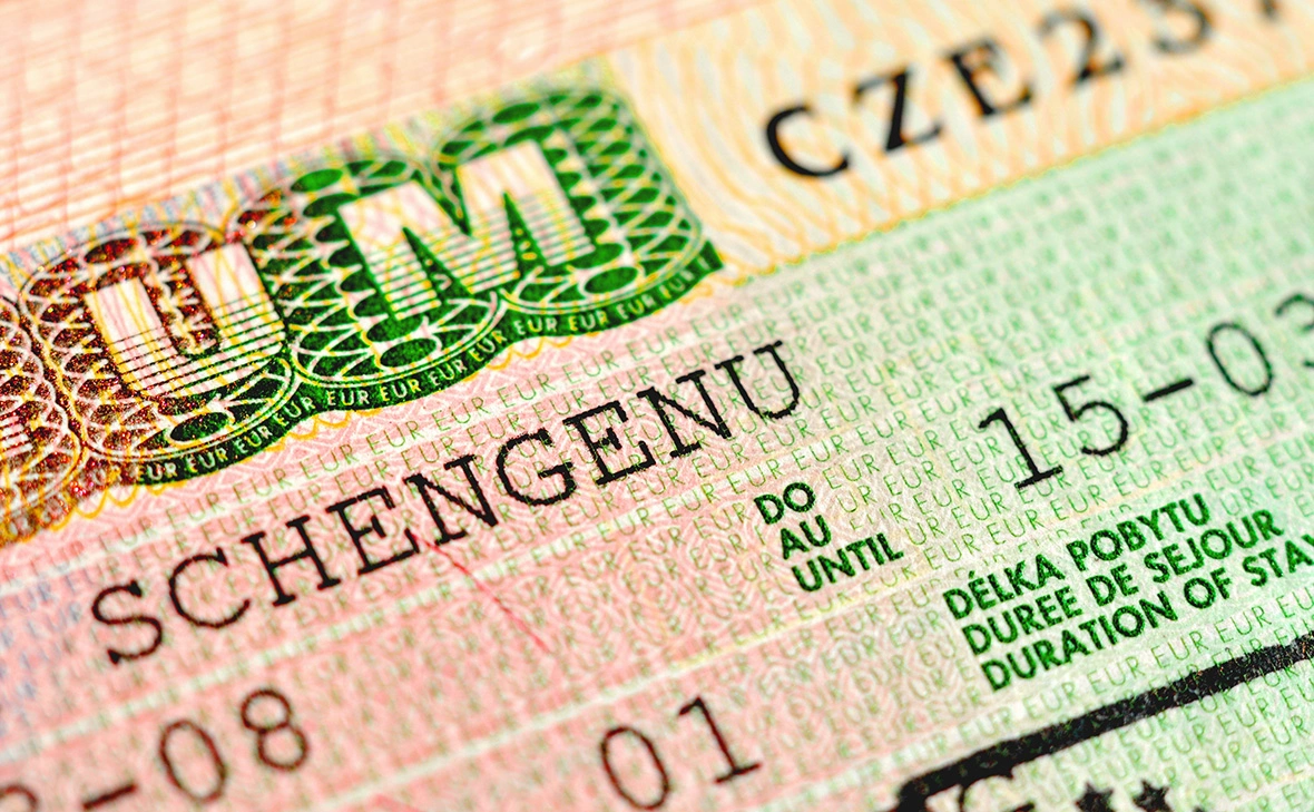 Martynova Anna / Shutterstock