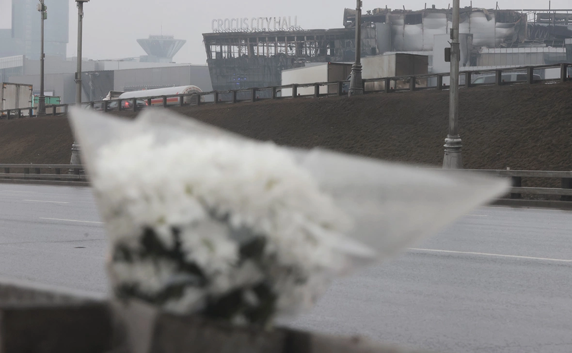 Михаил Гребенщиков / РБК