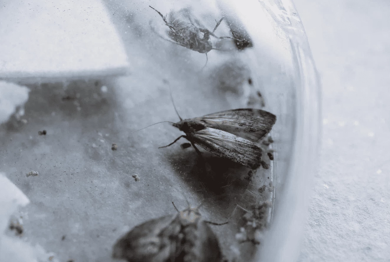 пресс-слубжа НГТУ 