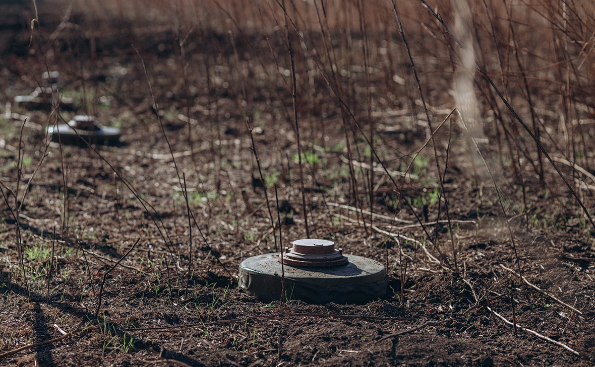 Jane_Zh / Shutterstock