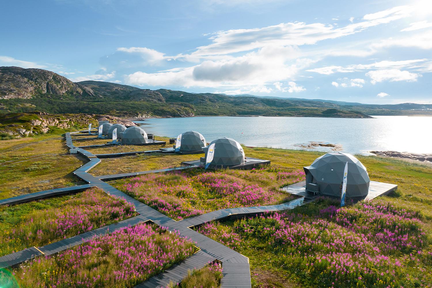 &laquo;Китовый берег&raquo; летом