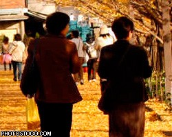 Японцы соберутся в парке, чтобы накричать на своих жен 