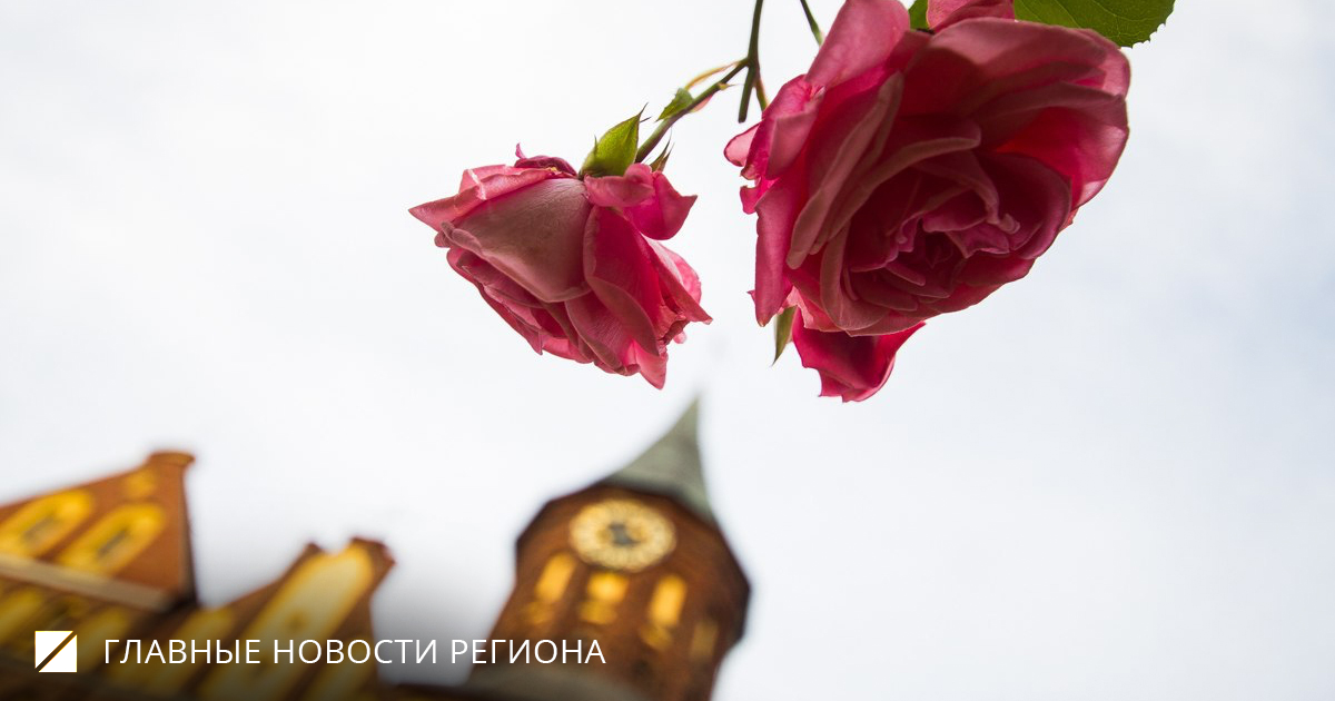 Фото: Александр Подгорчук, Роман Родионов