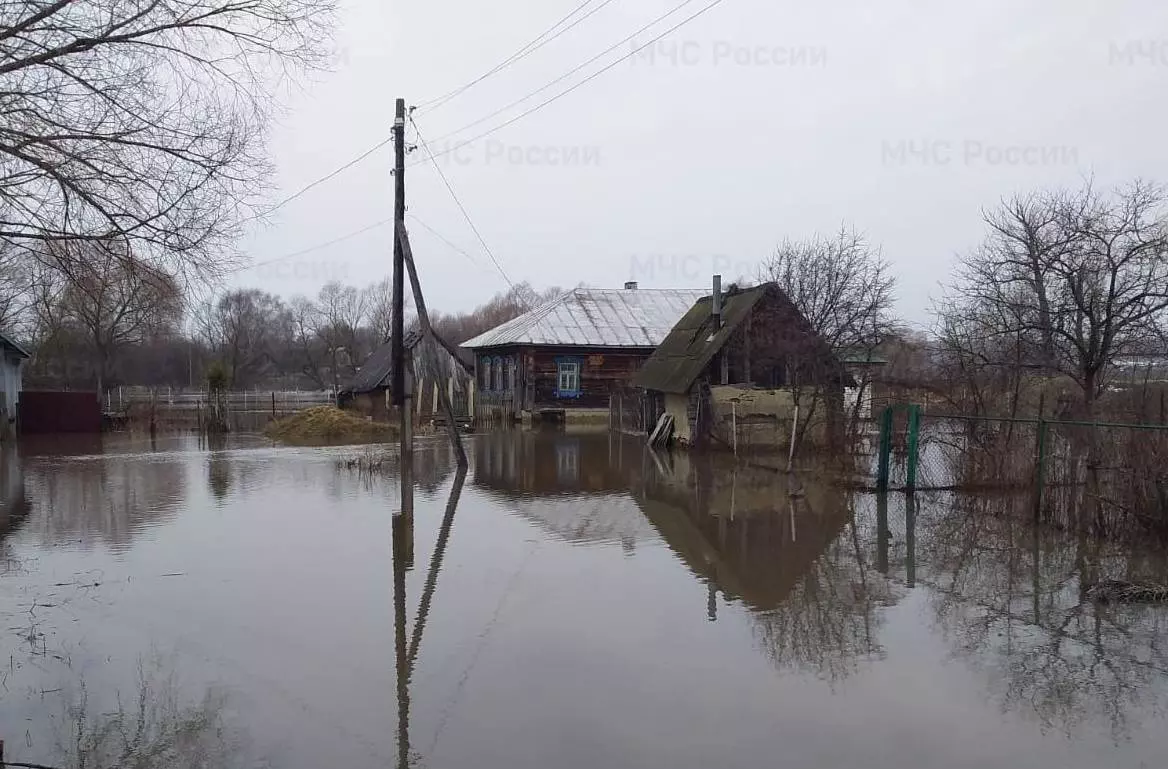 Пресс-служба ГУ МЧС Нижегородской области