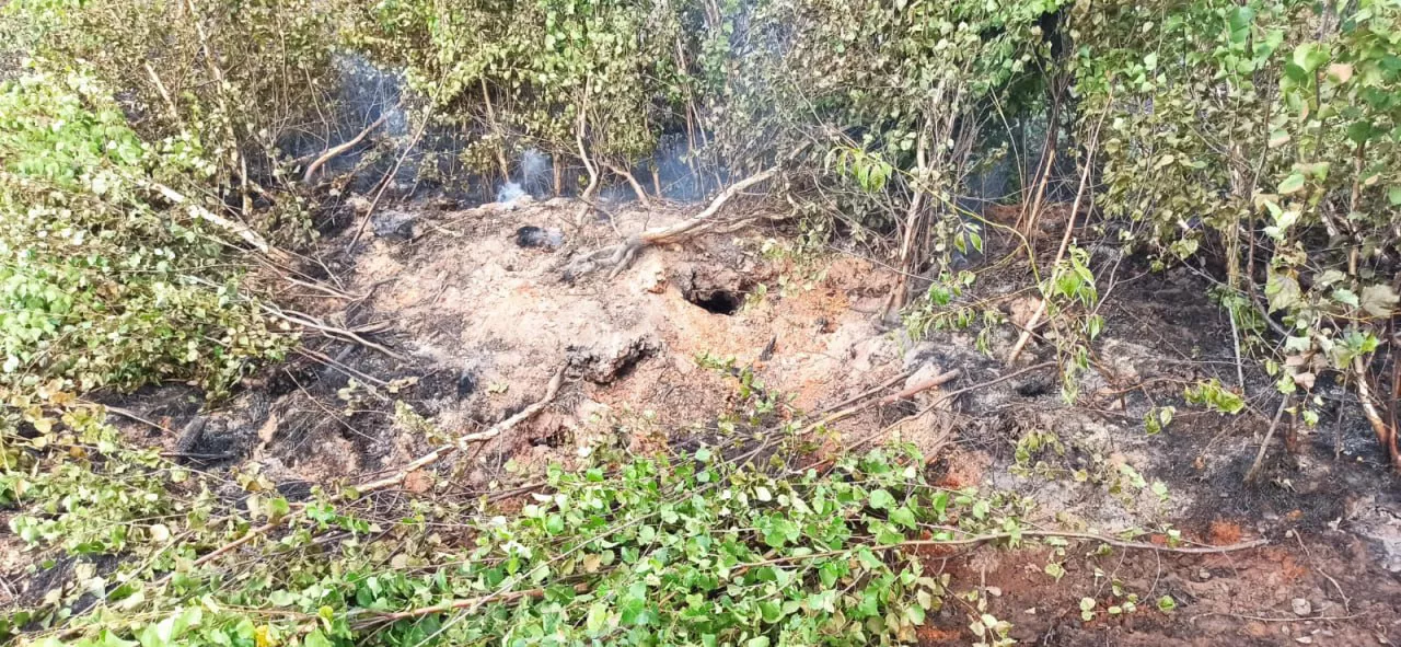 Пермский лесопожарный центр