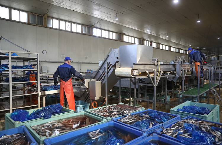 правительство Приморского края