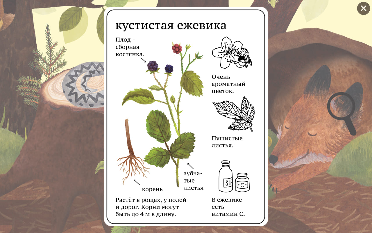 Фото: Google Play