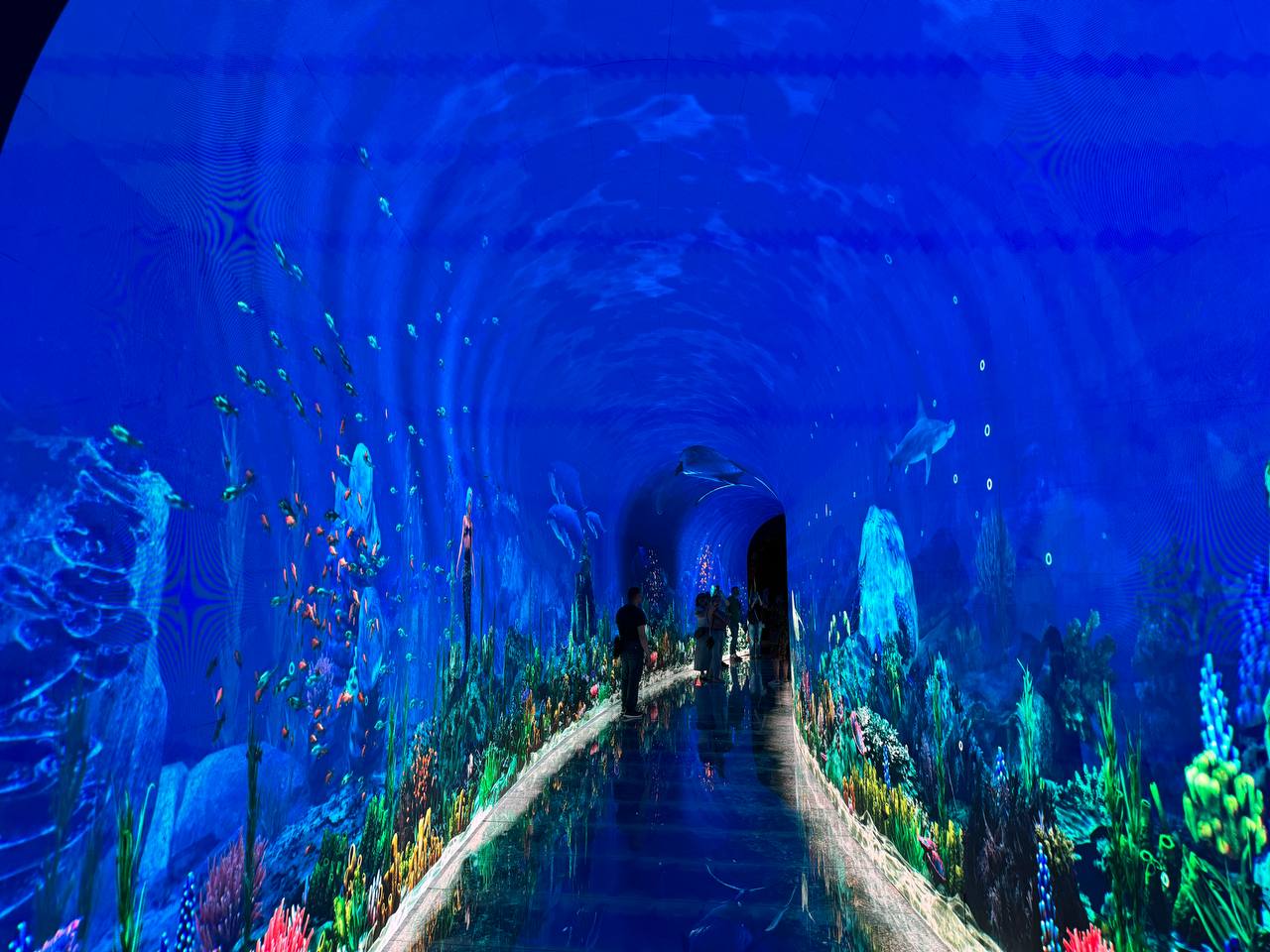 Фото: РБК Краснодар