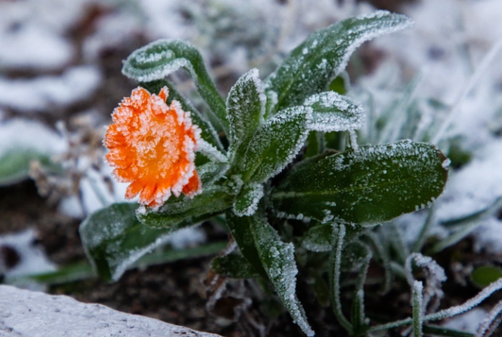 Фото: Александр Подгорчук